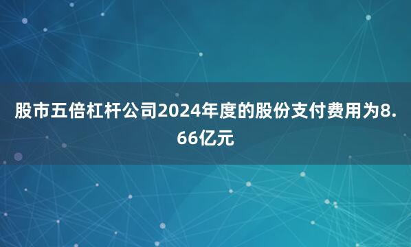 股市五倍杠杆公司2024年度的股份支付费用为8.66亿元