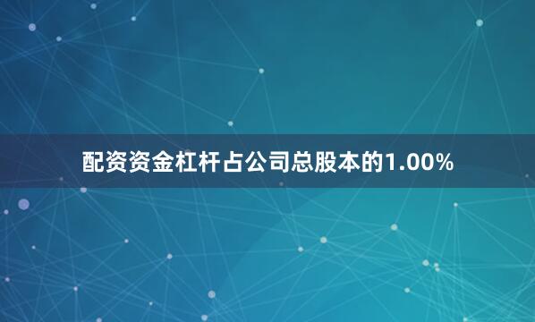 配资资金杠杆占公司总股本的1.00%