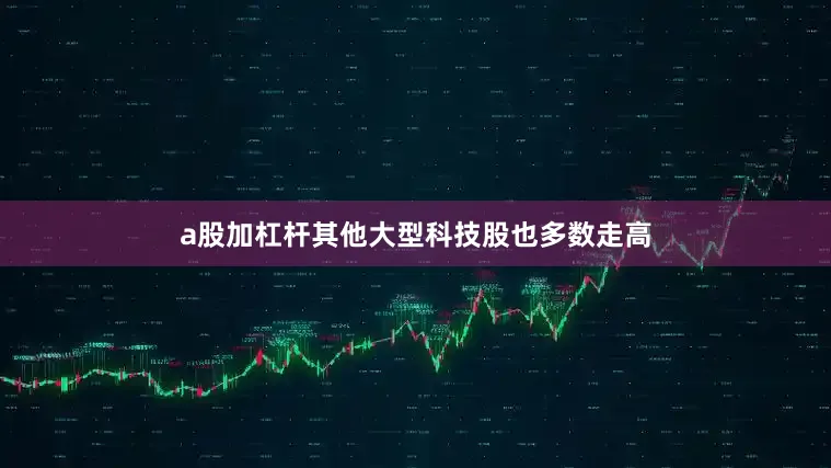 a股加杠杆其他大型科技股也多数走高
