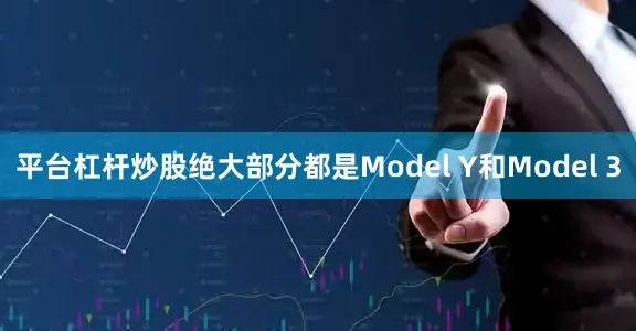 平台杠杆炒股绝大部分都是Model Y和Model 3