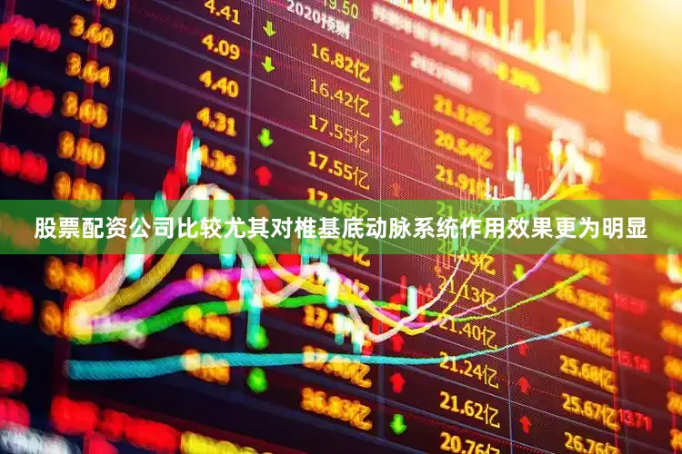 股票配资公司比较尤其对椎基底动脉系统作用效果更为明显